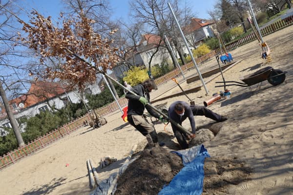 Židovské pece sázení stromů duben II